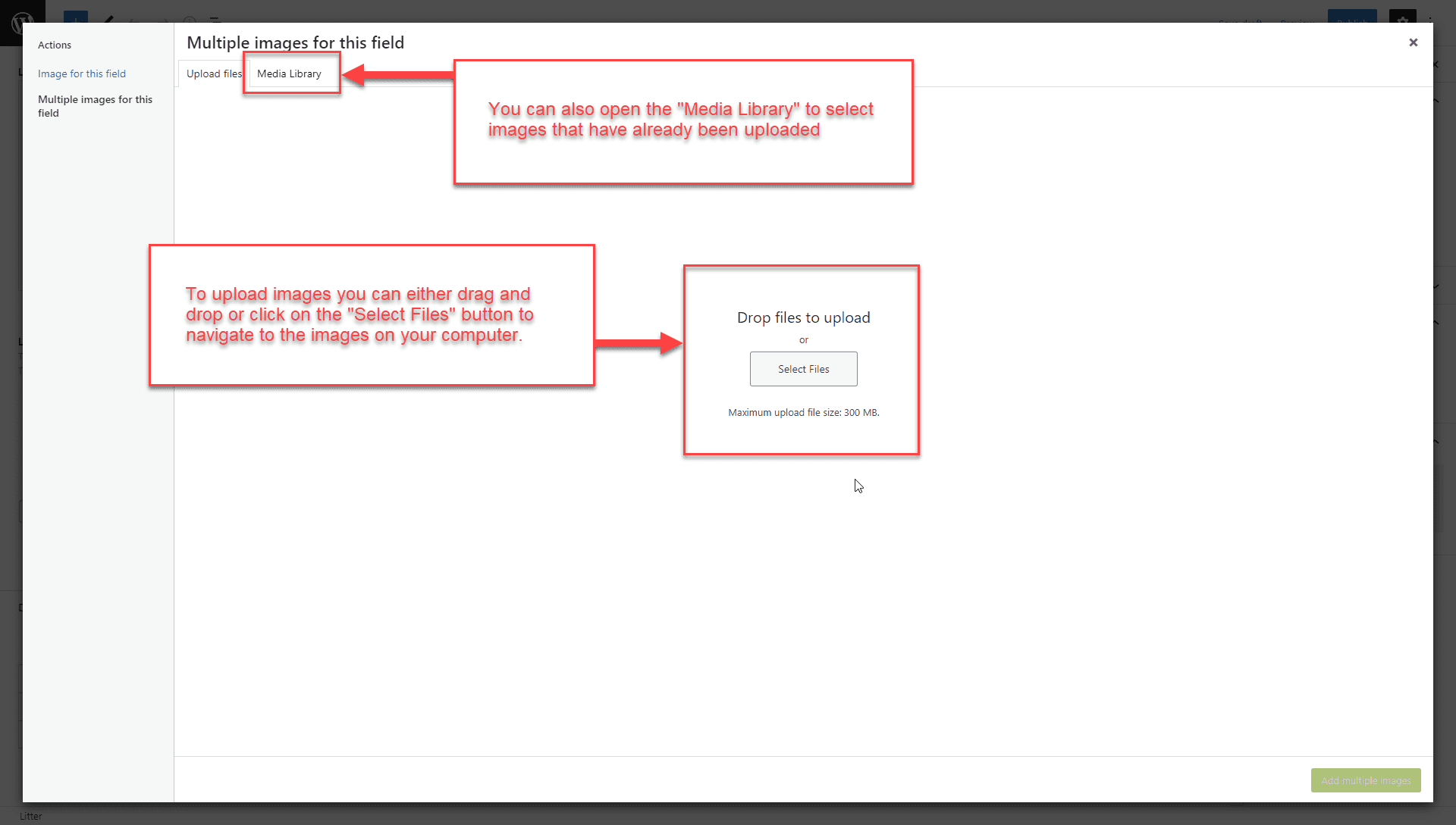 Dogs - Add Images for Photo Gallery (step 2) Dogs - Add Images for Photo Gallery (step 2) Screenshot