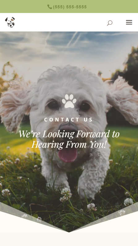 Mobile Screenshot - Contact page splash header