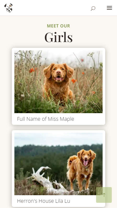 Mobile Screenshot - Meet Our Girls