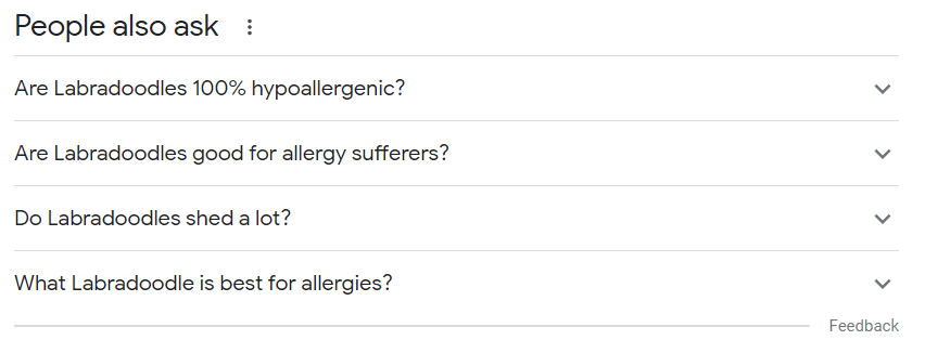 Screenshot of Search Result pages "People also ask" section